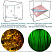 FEMTO3D Atlas - двухфотонный микроскоп с функцией 3D визуализации